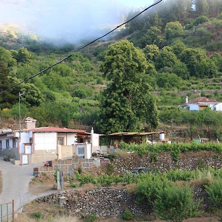 Finca El Cole Villa Las Palmas Buitenkant foto
