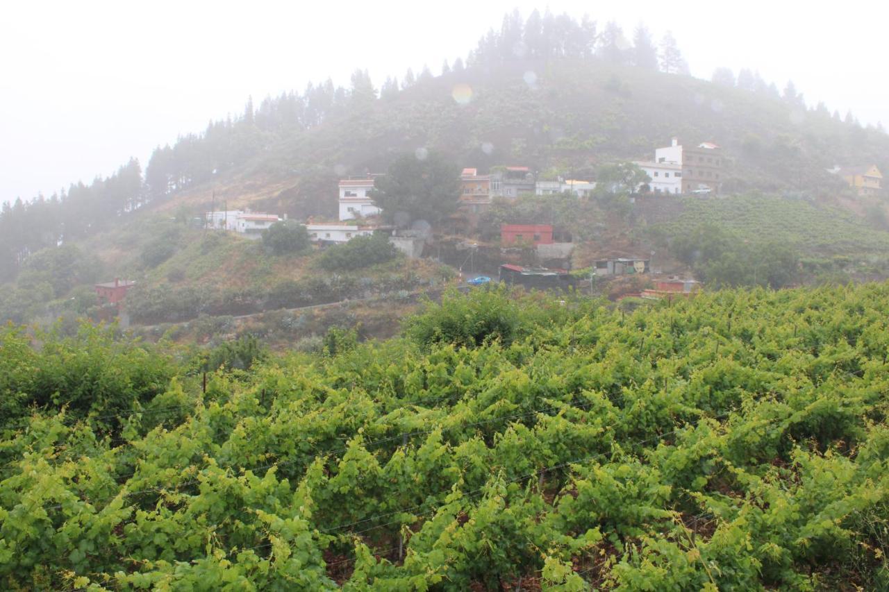 Finca El Cole Villa Las Palmas Buitenkant foto